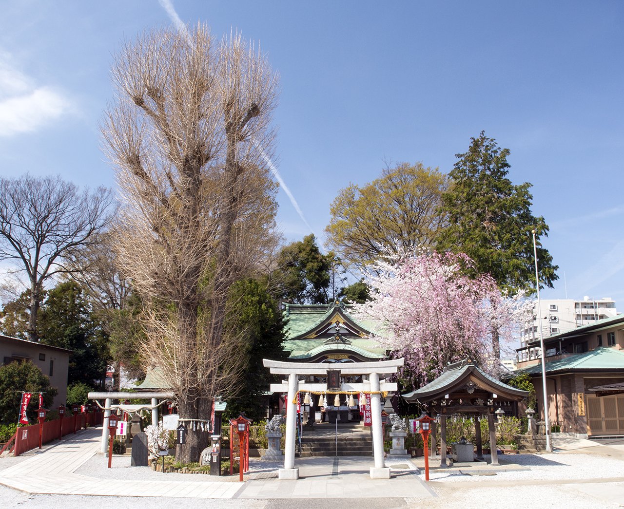 ⛩️ 가와고에 하치만 신사(가와고에 하치만구) 이미지 1